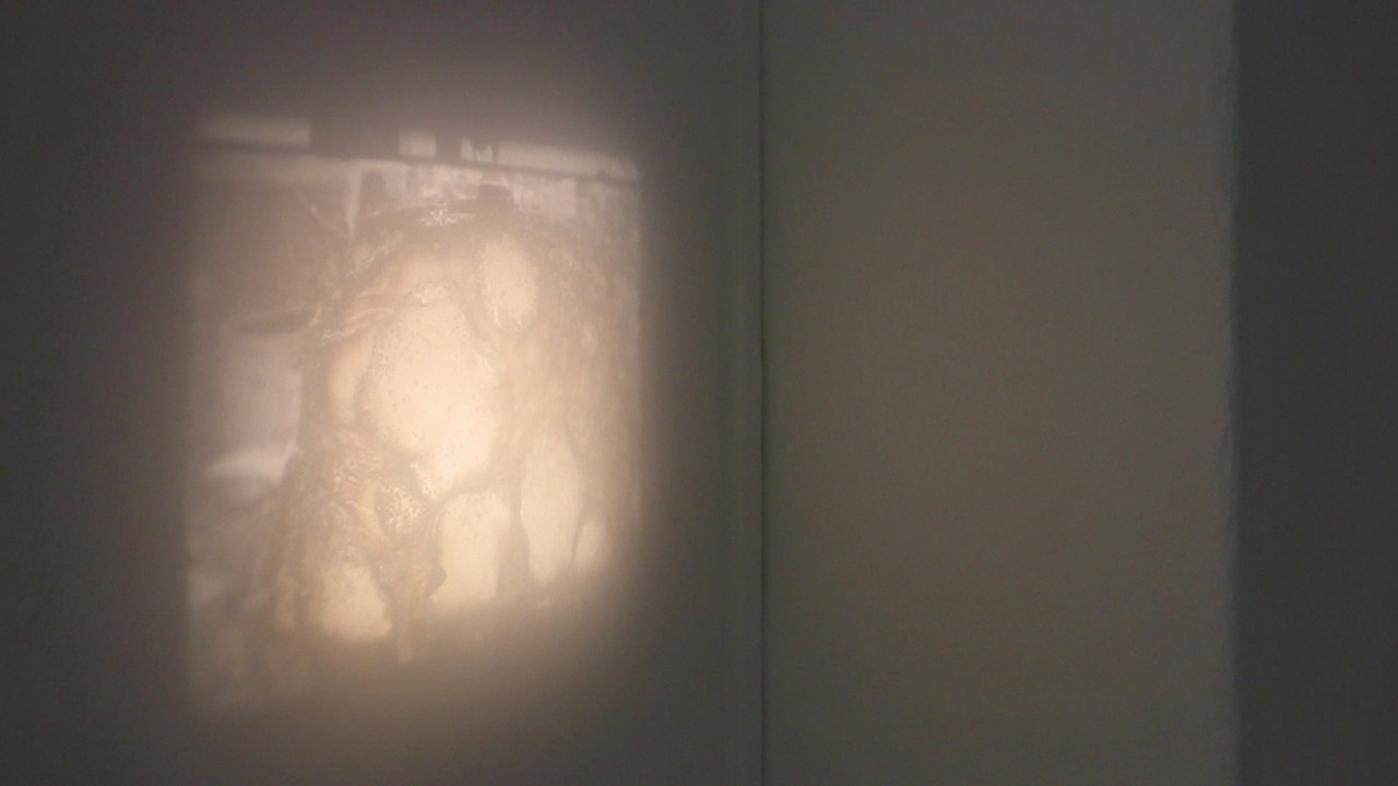 A1 5284 – A1 0862, 2013