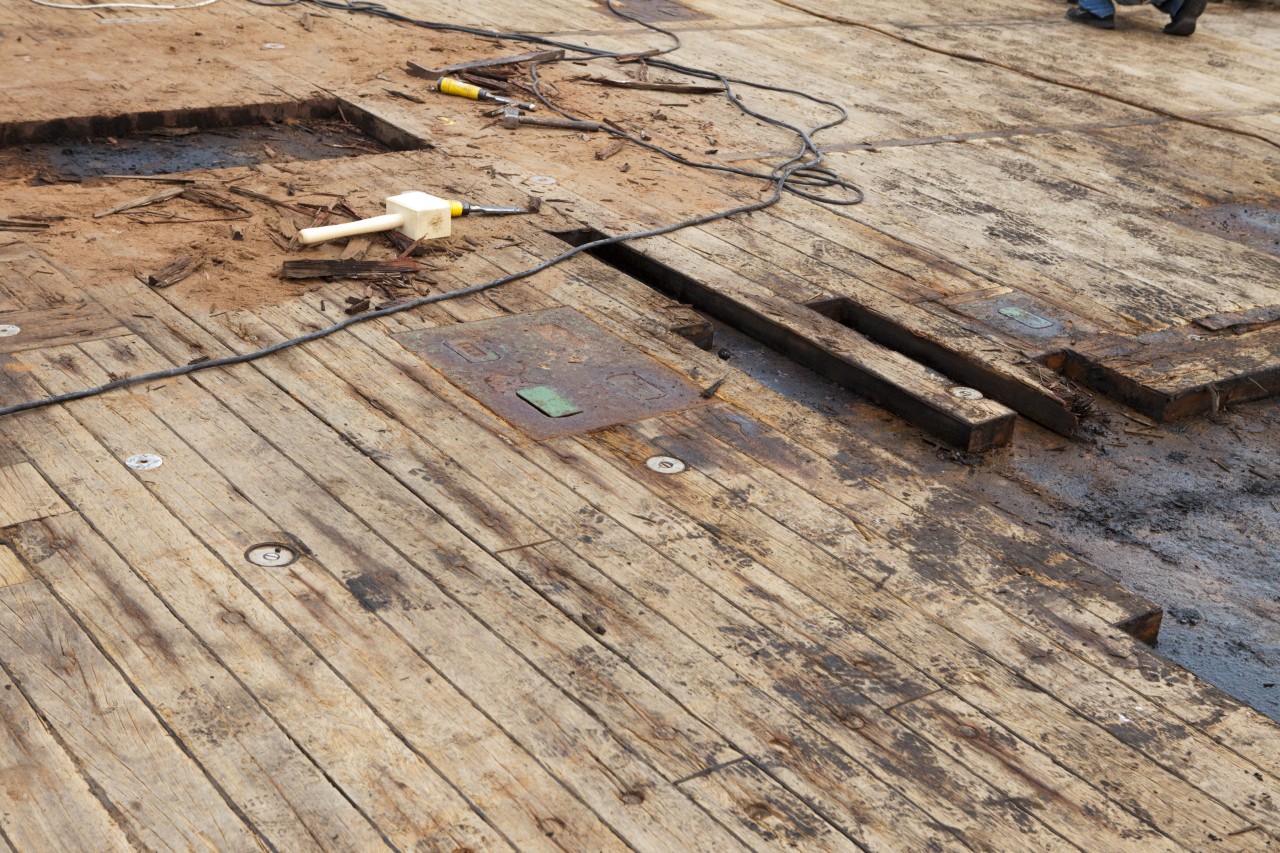 Das Zweite Leben, 2011