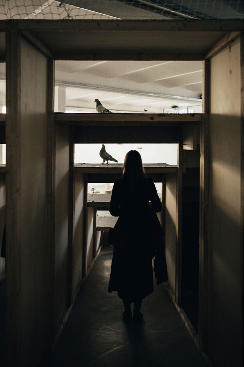 Nephelo­kokkygia (Wolken­kuckucks­heim), 2022