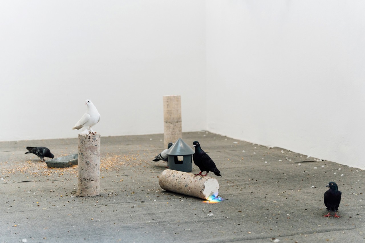 Nephelo­kokkygia (Wolken­kuckucks­heim), 2022